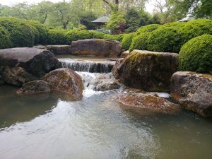 Japanisches Haus, Wasserfall, botanischer Garten Augsburg, Felsen, Quelle, Grün, Büsche, Grünanlage, Bäume, Wasser, japanisch, Pagode